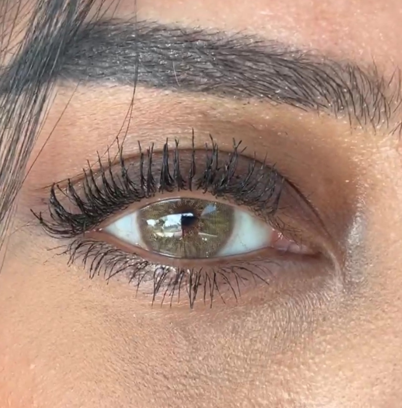 Sahara