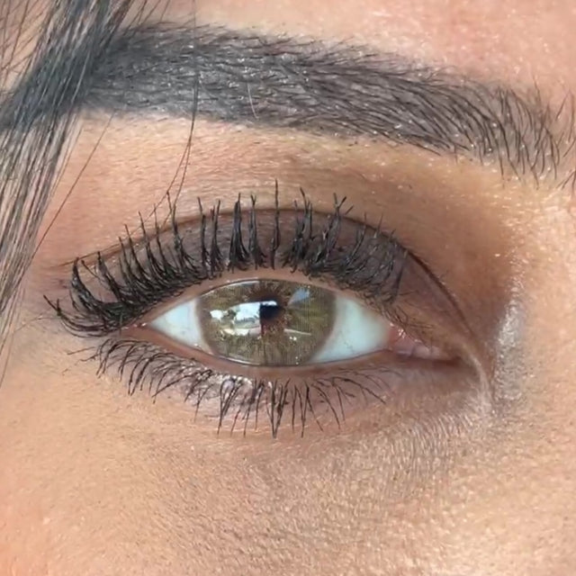 Sahara